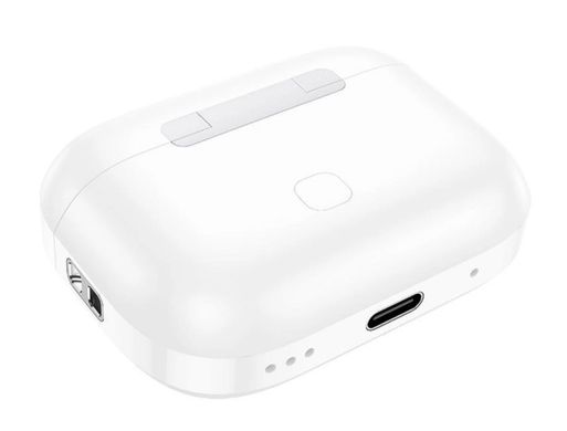 Гарнітура вакуумна Bluetooth TWS HOCO EW56 Generoso headset (BT5.3, 30/300mAh, 4H) white