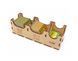 Органайзер ХДФ Agricola 2nd Edition Organizer v2 (Агрикола) 99998778 фото 4