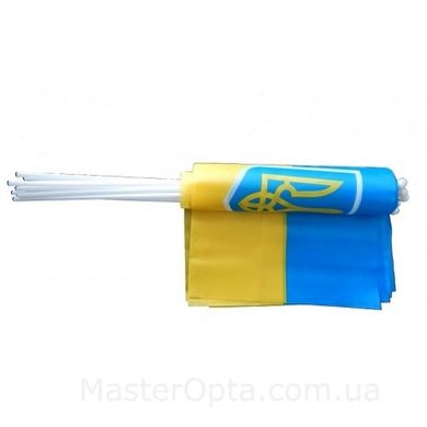 Флаг України Q-3 (20*30)